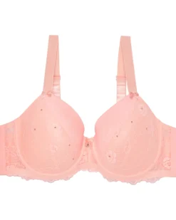 BH mit Strasssteinen Janina curved, verstellbare Träger-KiK Onlineshop Discount