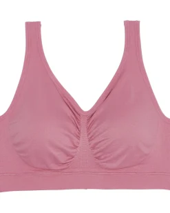 Bustier in Ergee, nahtlos-KiK Onlineshop Discount