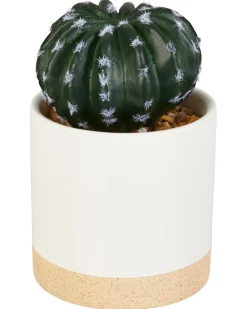 Kunstkaktus im Topf verschiedene Ausführungen-KiK Onlineshop Store