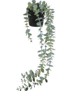 Kunstpflanze Eukalyptus ca. 12 x 12 x 50 cm-KiK Onlineshop Shop