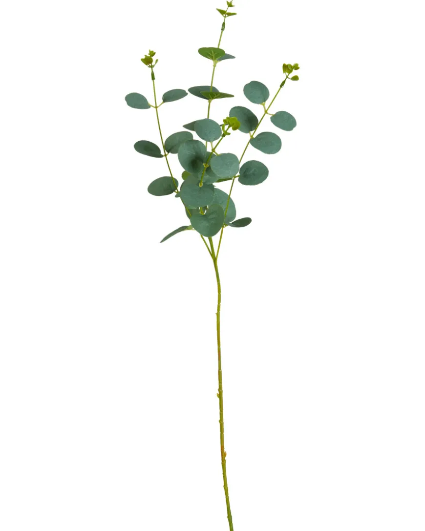 Kunstpflanze Eukalyptus ca. 60 cm-KiK Onlineshop New