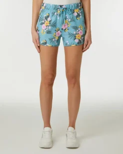 Shorts Janina, elastischer Bund-KiK Onlineshop Cheap