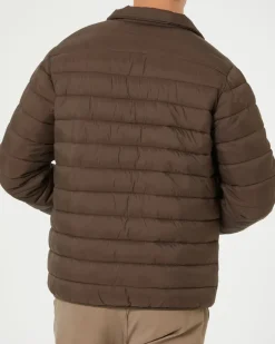 Steppjacke in X-Mail, Stehkragen-KiK Onlineshop New