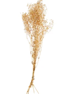 Trockenblumen Schleierkraut ca. 70 cm-KiK Onlineshop Clearance