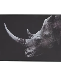 Wandbild mit Tiermotiv verschiedene Designs-KiK Onlineshop Clearance