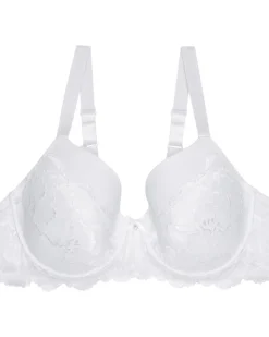 er BH Janina curved, Spitzendetails-KiK Onlineshop Cheap